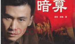 暗算电视剧在线观看,揭秘神秘密码的传奇故事